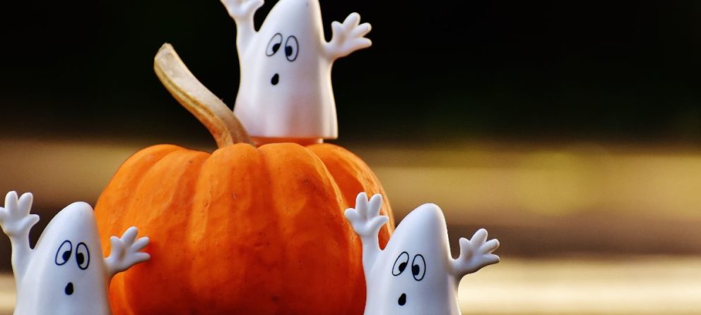 Halloween Halloween
